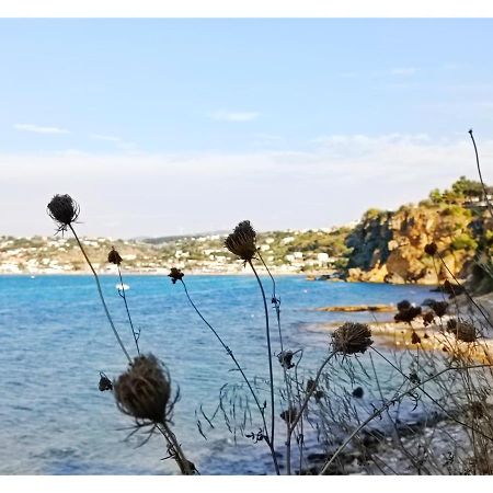 Case D'Anna Castellammare del Golfo Exterior photo
